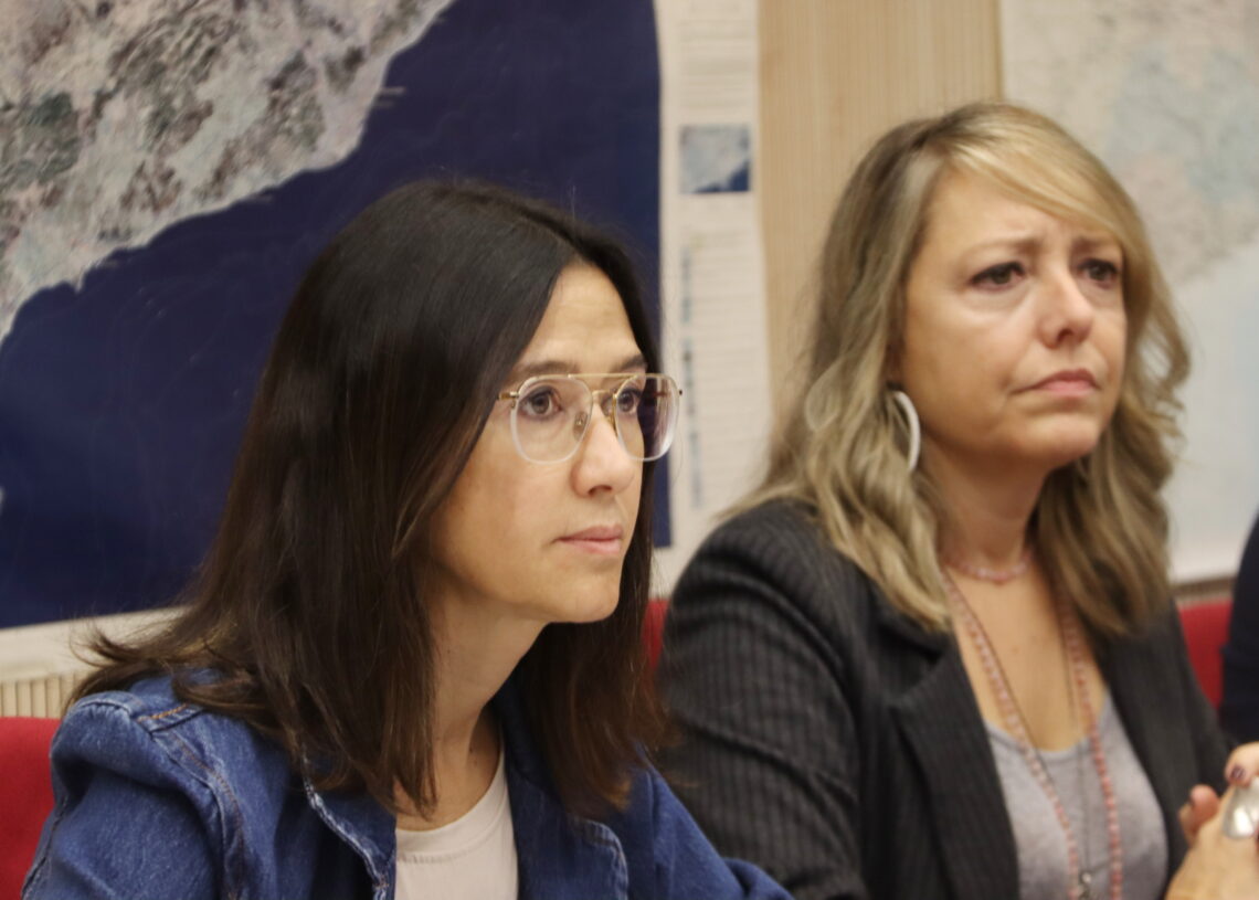 Parlon afirma que es va cap a una situació ‘més normalitzada’ tot i que es manté certa ‘inestabilitat’ meteorològica