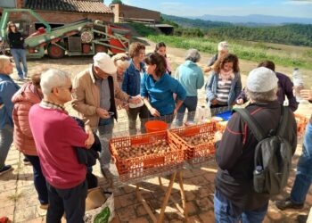 Catalunya celebra la Setmana Bio amb més de 450 activitats