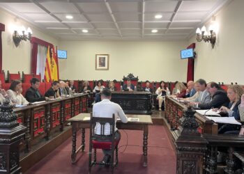 Unanimitat al ple de Tortosa en suport al poble palestí i de condemna al genocidi