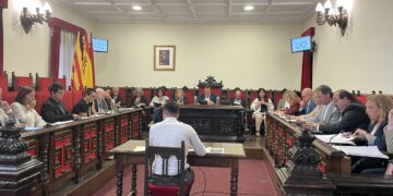 Unanimitat al ple de Tortosa en suport al poble palestí i de condemna al genocidi