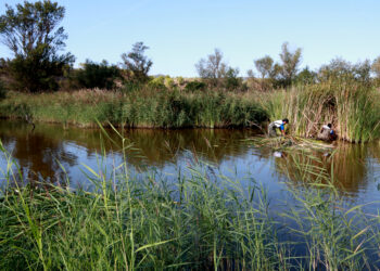 La Ribera d’Ebre reactiva la seva demanda per ser Reserva de la Biosfera
