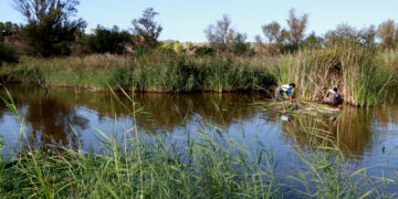 La Ribera d’Ebre reactiva la seva demanda per ser Reserva de la Biosfera