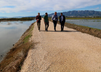 El Govern farà més guardes al frontal del delta de l’Ebre, primer pas del pla unificat de protecció