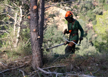 El COPATE lidera a Tivenys la major actuació de prevenció d’incendis