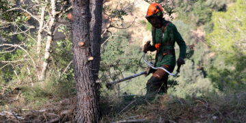 El COPATE lidera a Tivenys la major actuació de prevenció d’incendis