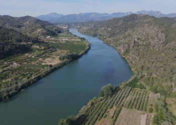 La PDE considera una ‘obvietat’ la reducció de dotacions de reg per garantir els cultius actuals