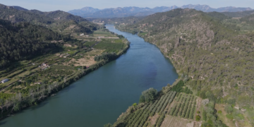 La PDE considera una ‘obvietat’ la reducció de dotacions de reg per garantir els cultius actuals