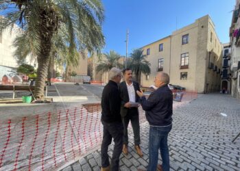 Tortosa reformarà la plaça dels Dolors amb nou arbrat i una zona infantil