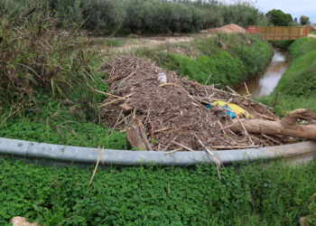 ‘Sobre les darreres pluges (2). Conseqüències i solucions’, per Gabriel Perles