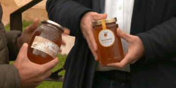 ERC reclama al Senat mesures urgents per protegir el sector apícola davant la competència deslleial de la mel ucraïnesa