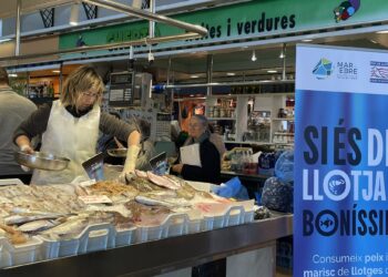 El GALP Mar de l’Ebre impulsa el peix de proximitat amb la campanya ‘Si és de llotja, és boníssim!’
