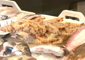 Els establiments s’omplen de productes frescos per la campanya de Nadal