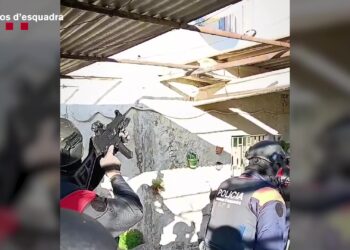 Desmantellada una plantació de marihuana a Tortosa amb més de mil plantes