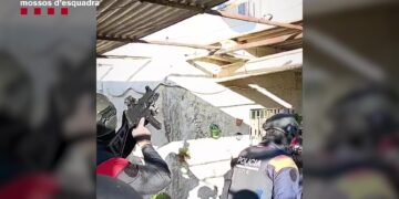 Desmantellada una plantació de marihuana a Tortosa amb més de mil plantes