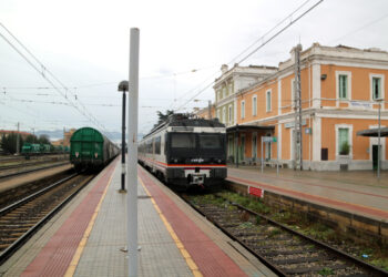 El ple de la Ribera d’Ebre aprova una declaració institucional crítica amb la gestió de la línia R15