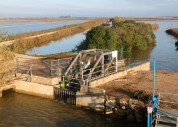 Debat obert pel cabal ecològic de l’Ebre: la PDE alerta dels riscos i el Govern apel·la a l’equilibri