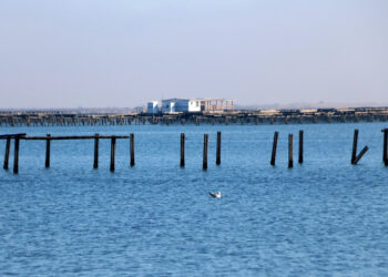 Els danys causats per les ventades i l’onatge arrasen les muscleres de la badia del Fangar