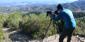 Estudis ambientals analitzen l’impacte de la central reversible Gira entre la Fatarella i Flix