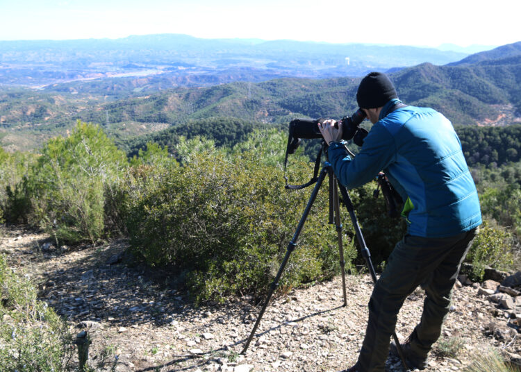 Estudis ambientals analitzen l’impacte de la central reversible Gira entre la Fatarella i Flix