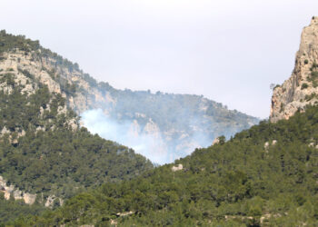 Controlat un incendi forestal a Paüls que ha afectat una hectàrea al Montsagre