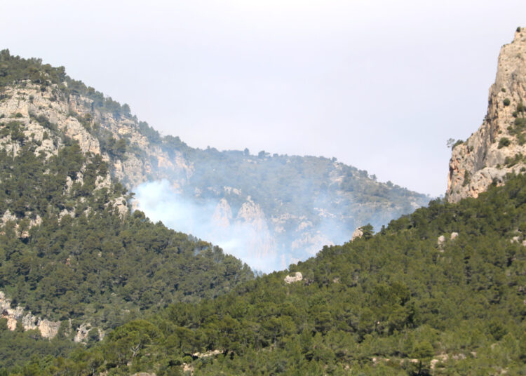 Controlat un incendi forestal a Paüls que ha afectat una hectàrea al Montsagre