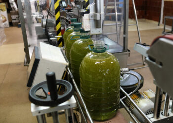 La guerra a l’Orient Mitjà i les amenaces comercials dels EUA generen incertesa entre els exportadors d’oli d’oliva