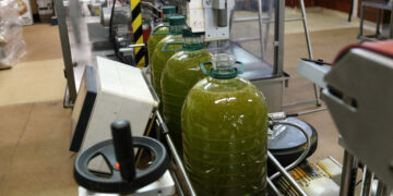 La guerra a l’Orient Mitjà i les amenaces comercials dels EUA generen incertesa entre els exportadors d’oli d’oliva