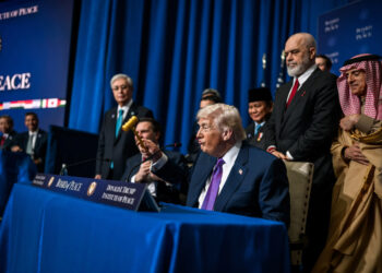 La deriva d’una policia global en decadència