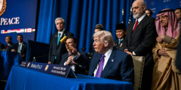 La deriva d’una policia global en decadència