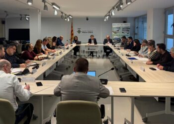 La Ribera d’Ebre reforça la candidatura de la gigafactoria d’IA amb un acord unànime amb l’INCASÒL