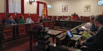 Suport total del ple de Tortosa a una atenció 24/7 de l’ictus a l’hospital Joan XXIII