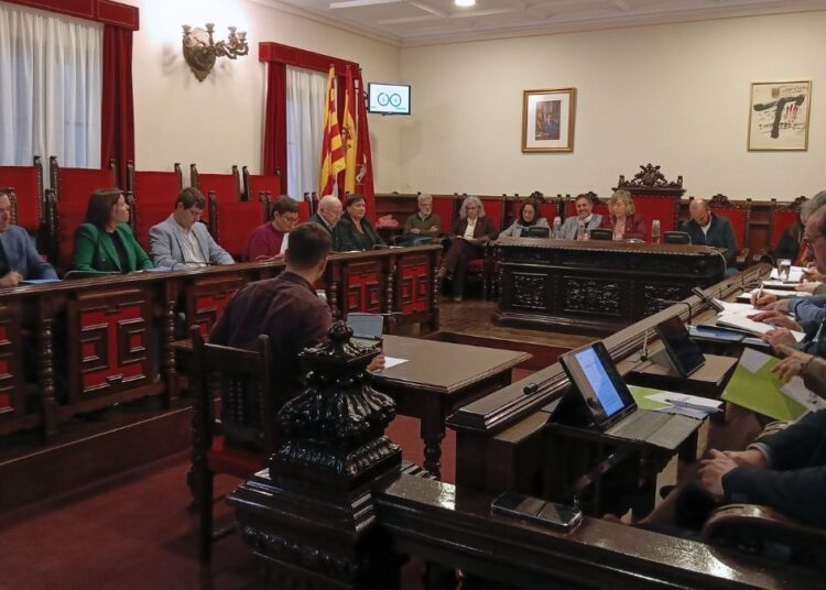 Suport total del ple de Tortosa a una atenció 24/7 de l’ictus a l’hospital Joan XXIII