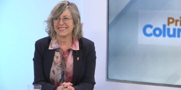 Tortosa necessitarà 100.000 m² de terrenys per al futur hospital de les Terres de l’Ebre