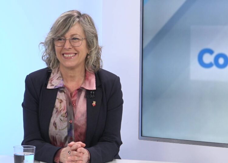 Tortosa necessitarà 100.000 m² de terrenys per al futur hospital de les Terres de l’Ebre