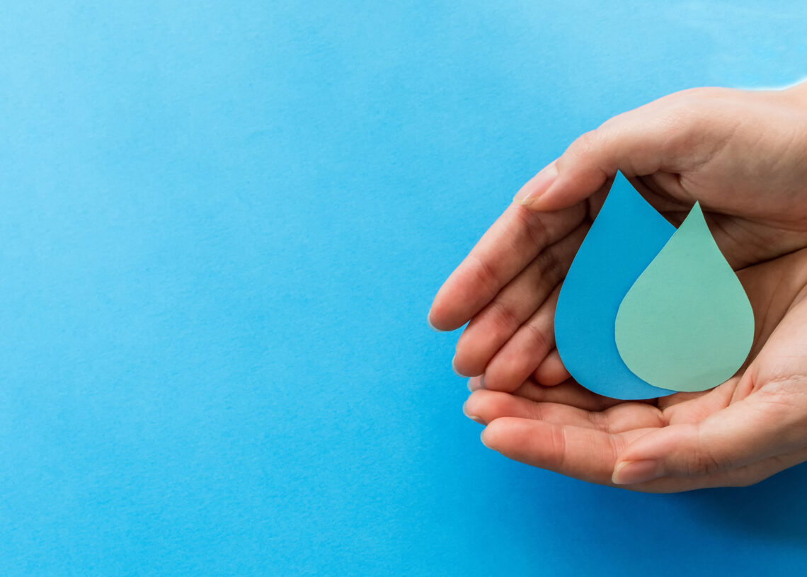 Gestionar l’aigua, protegir el destí, per Núria Varela