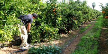 L’atur puja un 28% al Camp de Tarragona i l’Ebre durant el primer trimestre del 2026