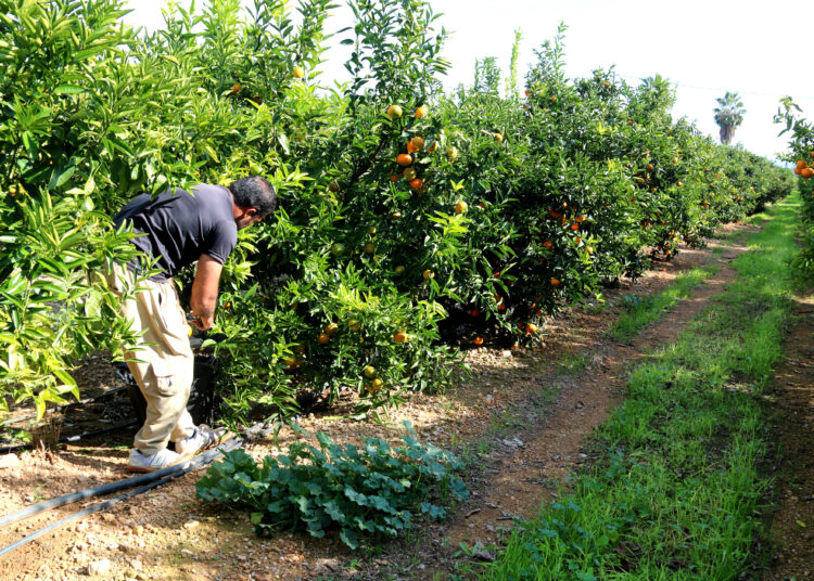 L’atur puja un 28% al Camp de Tarragona i l’Ebre durant el primer trimestre del 2026