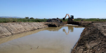 La bassa de les Olles entra en fase de restauració per recuperar biodiversitat i frenar dècades de degradació
