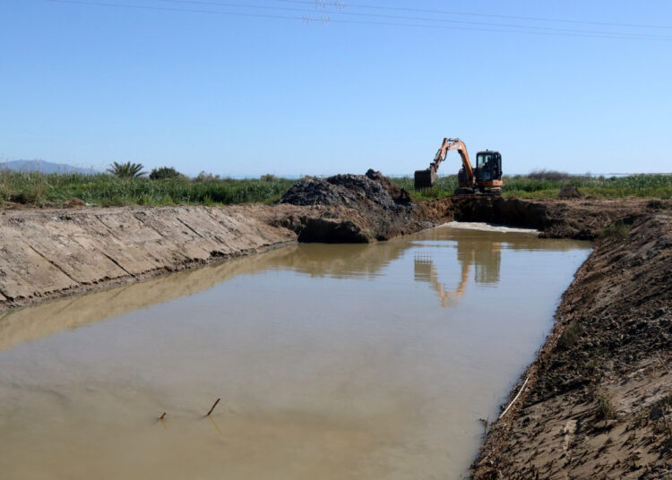 La bassa de les Olles entra en fase de restauració per recuperar biodiversitat i frenar dècades de degradació