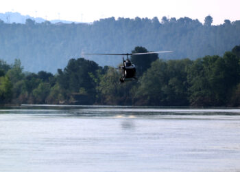 Arrenca la campanya contra la mosca negra amb retard per l’alt cabal del riu