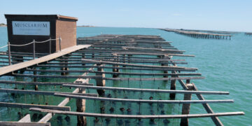 El Govern impulsa un pla de descarbonització per al sector aqüícola del delta de l’Ebre amb una inversió de 5 milions d’euros