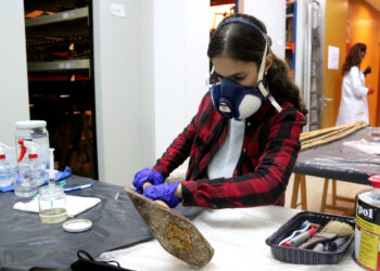 El canvi climàtic obliga el Museu de les Terres de l’Ebre a restaurar més de 5.000 peces afectades per fongs