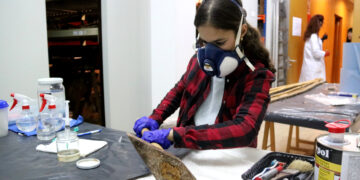 El canvi climàtic obliga el Museu de les Terres de l’Ebre a restaurar més de 5.000 peces afectades per fongs
