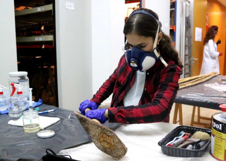 El canvi climàtic obliga el Museu de les Terres de l’Ebre a restaurar més de 5.000 peces afectades per fongs