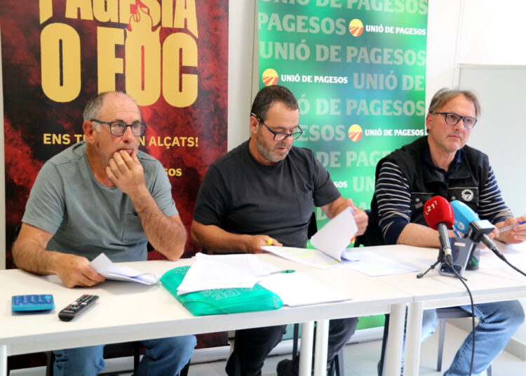 Unió de Pagesos denuncia que el pla contra la tuberculosi dels senglars arriba tard i amb ‘greus mancances’