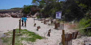 L’Ametlla de Mar impulsa la restauració de les dunes de cinc cales del municipi