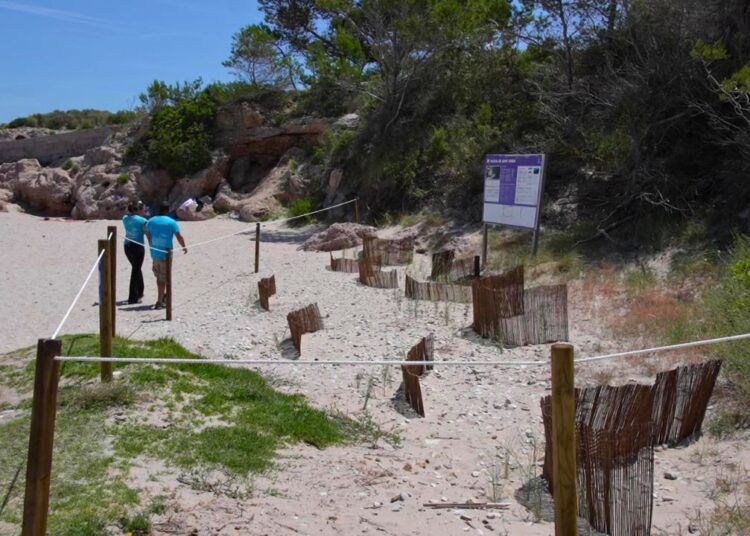 L’Ametlla de Mar impulsa la restauració de les dunes de cinc cales del municipi