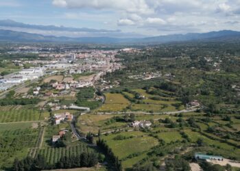 Carta oberta dels veïns del Barranc de la Llet a la pèrdua sistemàtica de zones verdes per al barri per part de les institucions