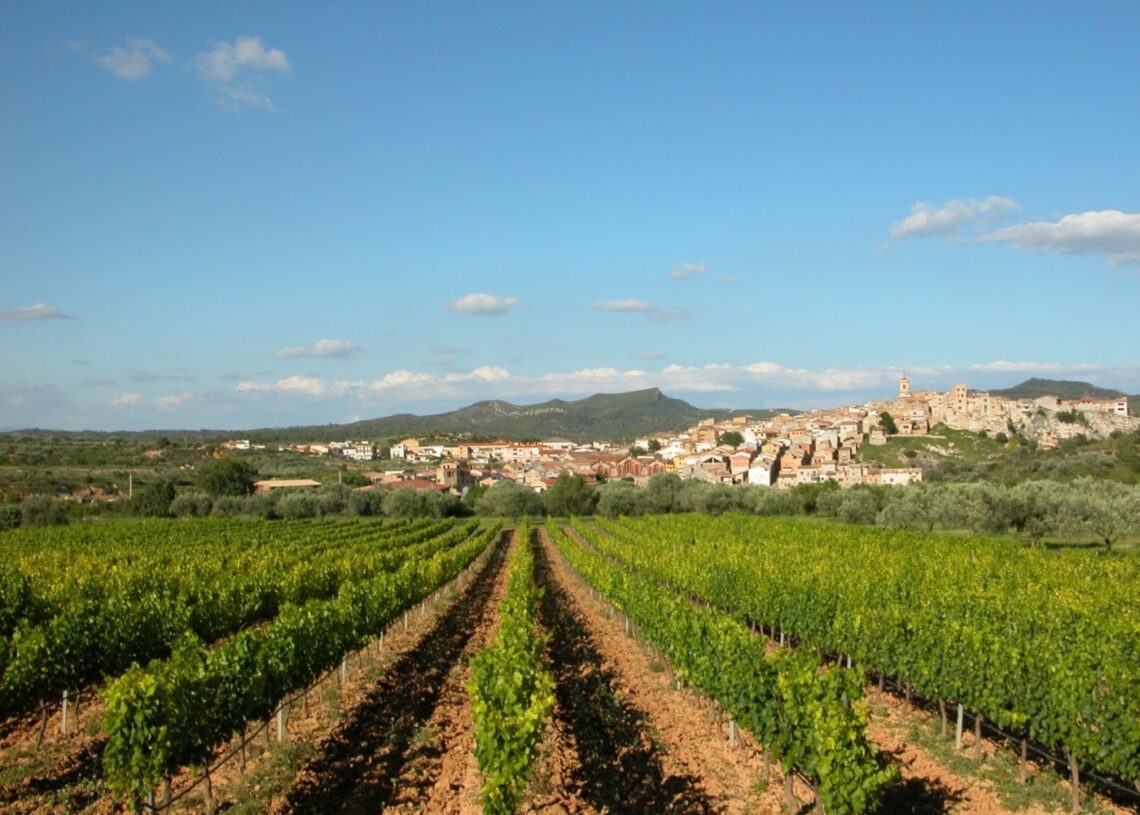 La Reserva de la Biosfera: el millor projecte col·lectiu per a les Terres de l’Ebre, per Josep Caparrós