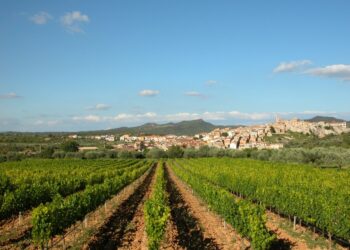 La Reserva de la Biosfera: el millor projecte col·lectiu per a les Terres de l’Ebre, per Josep Caparrós